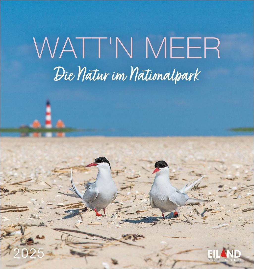 Cover: 9783964023285 | Watt'n Meer Postkartenkalender 2025 - Die Natur im Nationalpark | 2025