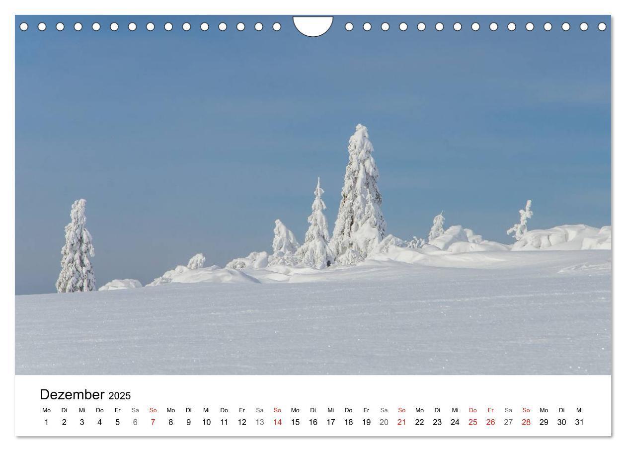 Bild: 9783435580118 | Naturerlebnis Nordschwarzwald (Wandkalender 2025 DIN A4 quer),...