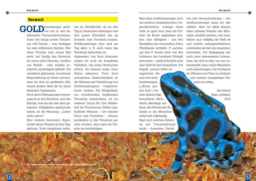 Bild: 9783866591882 | Der Goldbaumsteiger | Dendrobates Auratus | Ilze Dunce | Taschenbuch