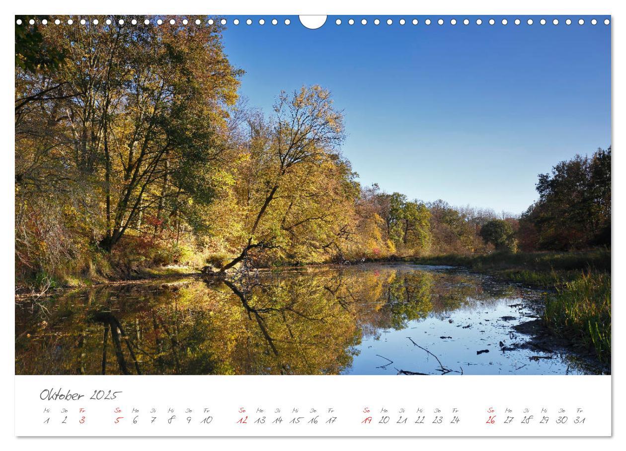 Bild: 9783435194353 | Die Elbe Impressionen (Wandkalender 2025 DIN A3 quer), CALVENDO...