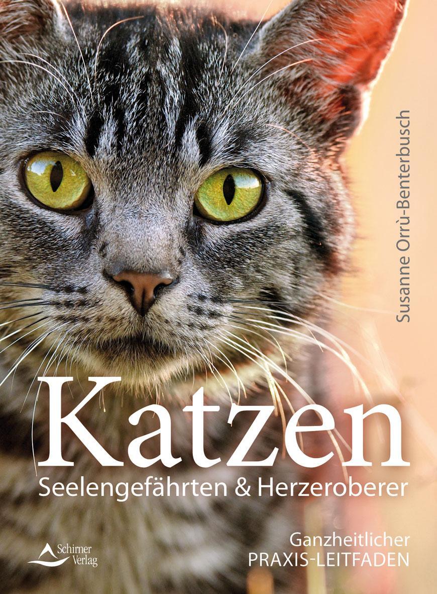 Cover: 9783843413343 | Katzen - Seelengefährten &amp; Herzeroberer | Susanne Orrù-Benterbusch