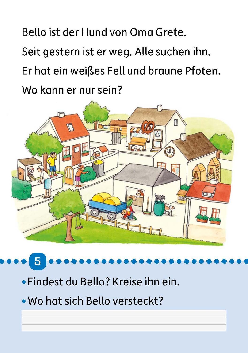 Bild: 9783881005036 | Lesen lernen 1. Klasse für Jungen und Mädchen - Tiergeschichten | Buch