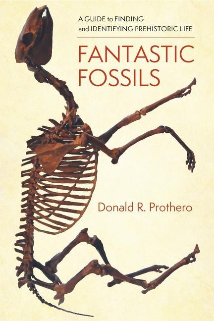 Cover: 9780231195782 | Fantastic Fossils | Donald R. Prothero | Buch | Gebunden | Englisch