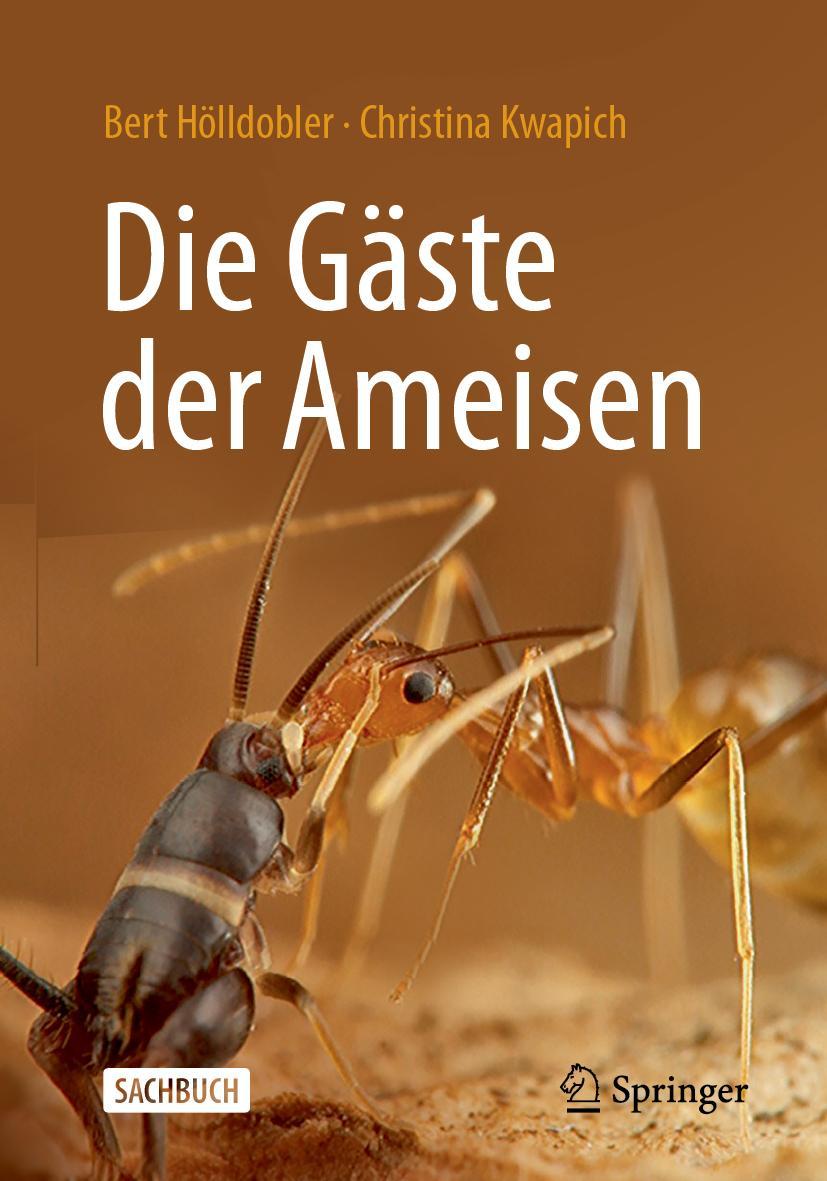 Cover: 9783662665251 | Die Gäste der Ameisen | Wie Myrmecophile mit ihren Wirten interagieren