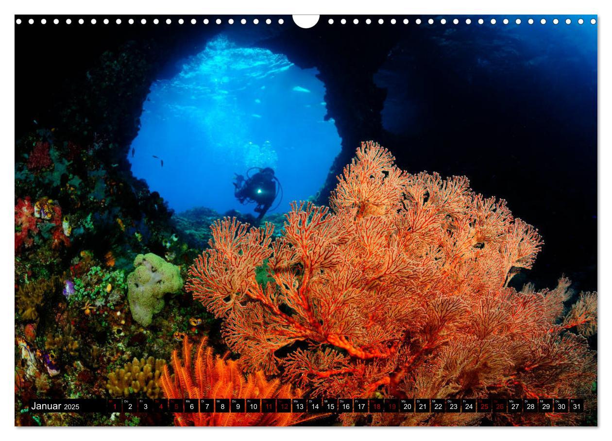 Bild: 9783435397518 | Raja Ampat - Faszinierende Unterwasserwelt (Wandkalender 2025 DIN...