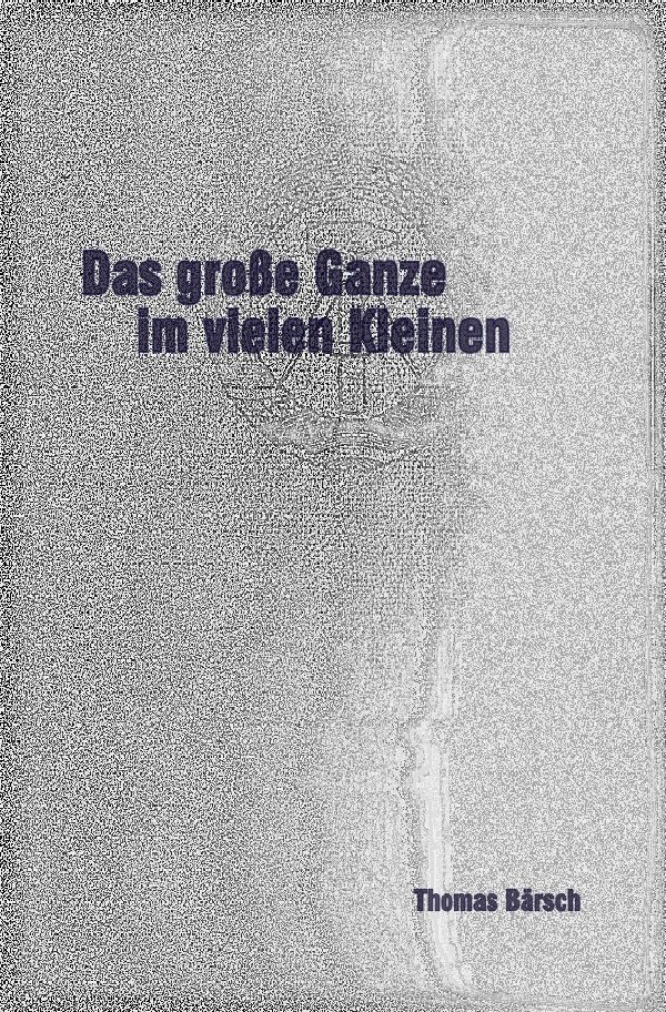 Cover: 9783745073850 | Das große Ganze im vielen Kleinen | Thomas Bärsch | Taschenbuch | 2017