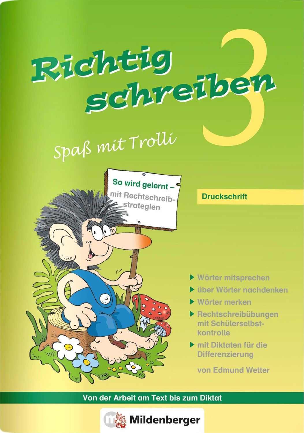 Cover: 9783619345205 | Richtig schreiben 3 - Spaß mit Trolli | Druckschrift 3. Schuljahr