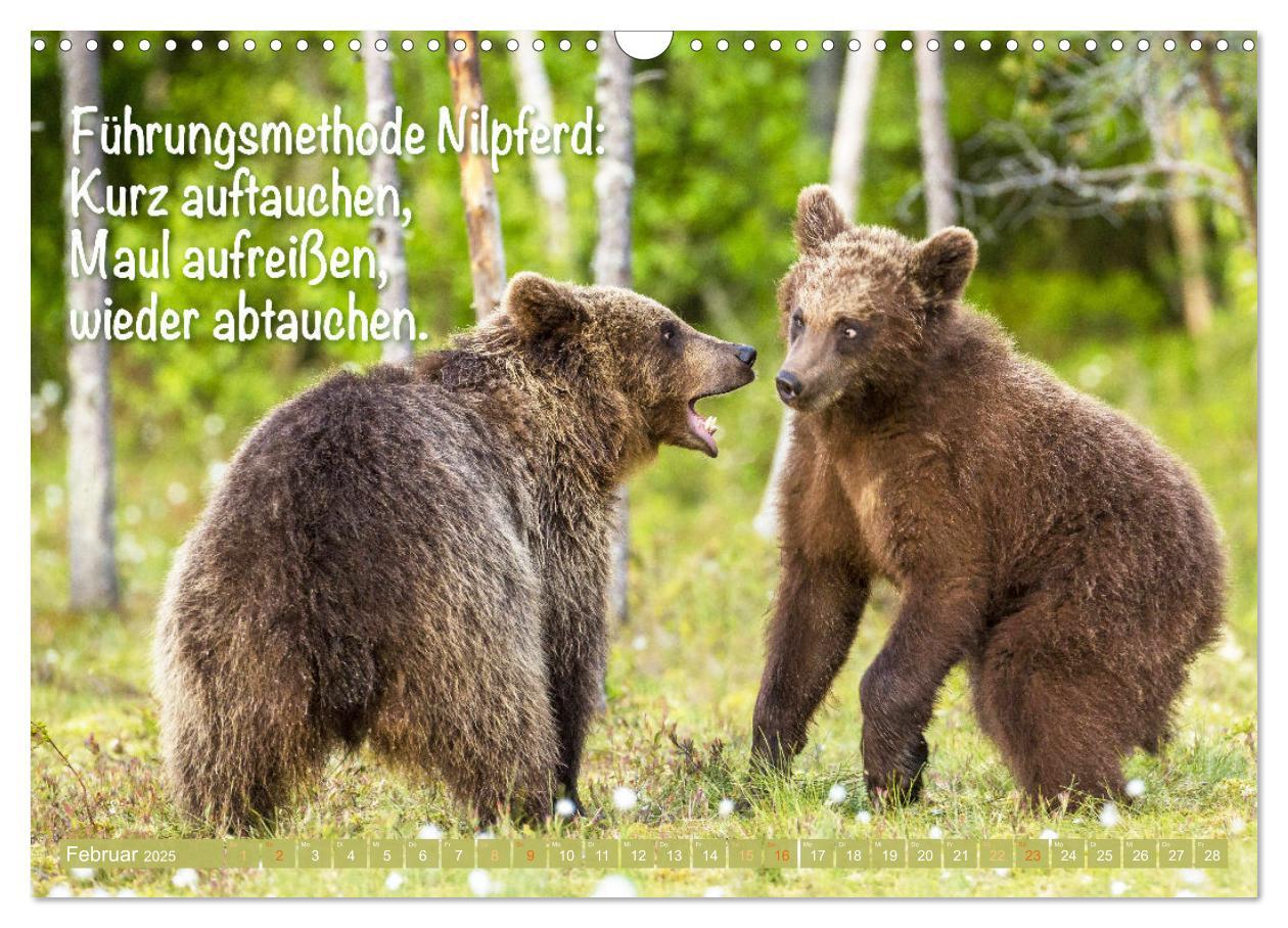 Bild: 9783383880773 | Spaß mit Bären: Edition lustige Tiere (Wandkalender 2025 DIN A3...