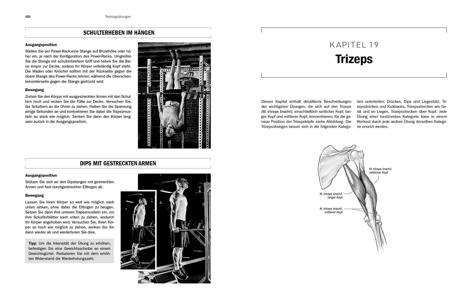 Bild: 9783742325570 | Krafttraining - Die Enzyklopädie | Jim Stoppani | Taschenbuch | 656 S.