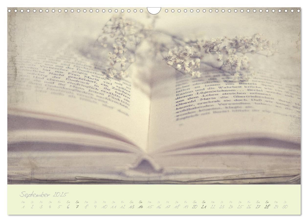 Bild: 9783435444045 | Shabby ist Chic (Wandkalender 2025 DIN A3 quer), CALVENDO...