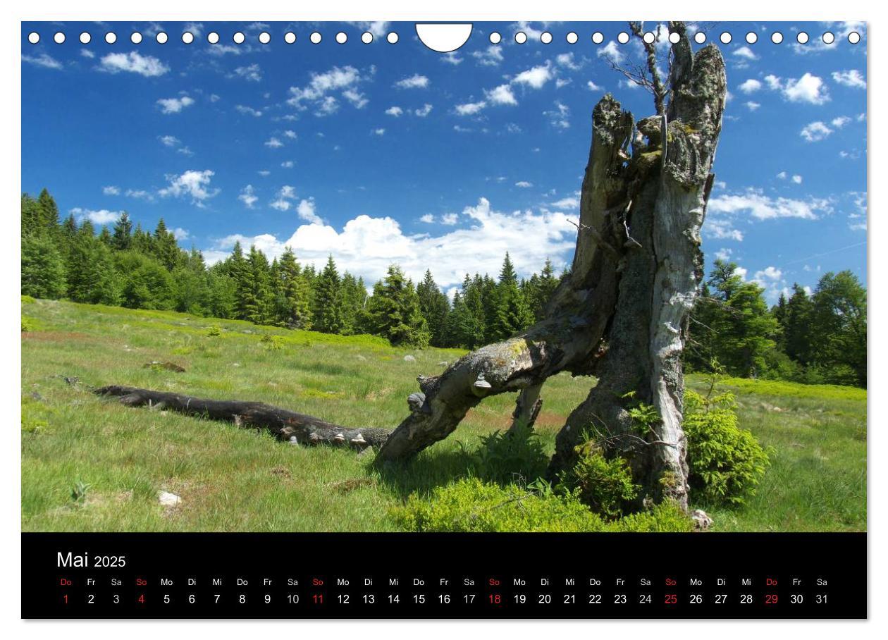 Bild: 9783435685011 | Bayerischer Wald - der Osten Bayerns (Wandkalender 2025 DIN A4...