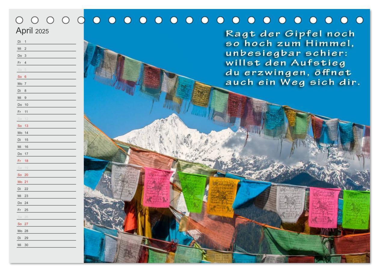 Bild: 9783435550104 | BUDDHA Buddhistische Weisheiten (Tischkalender 2025 DIN A5 quer),...