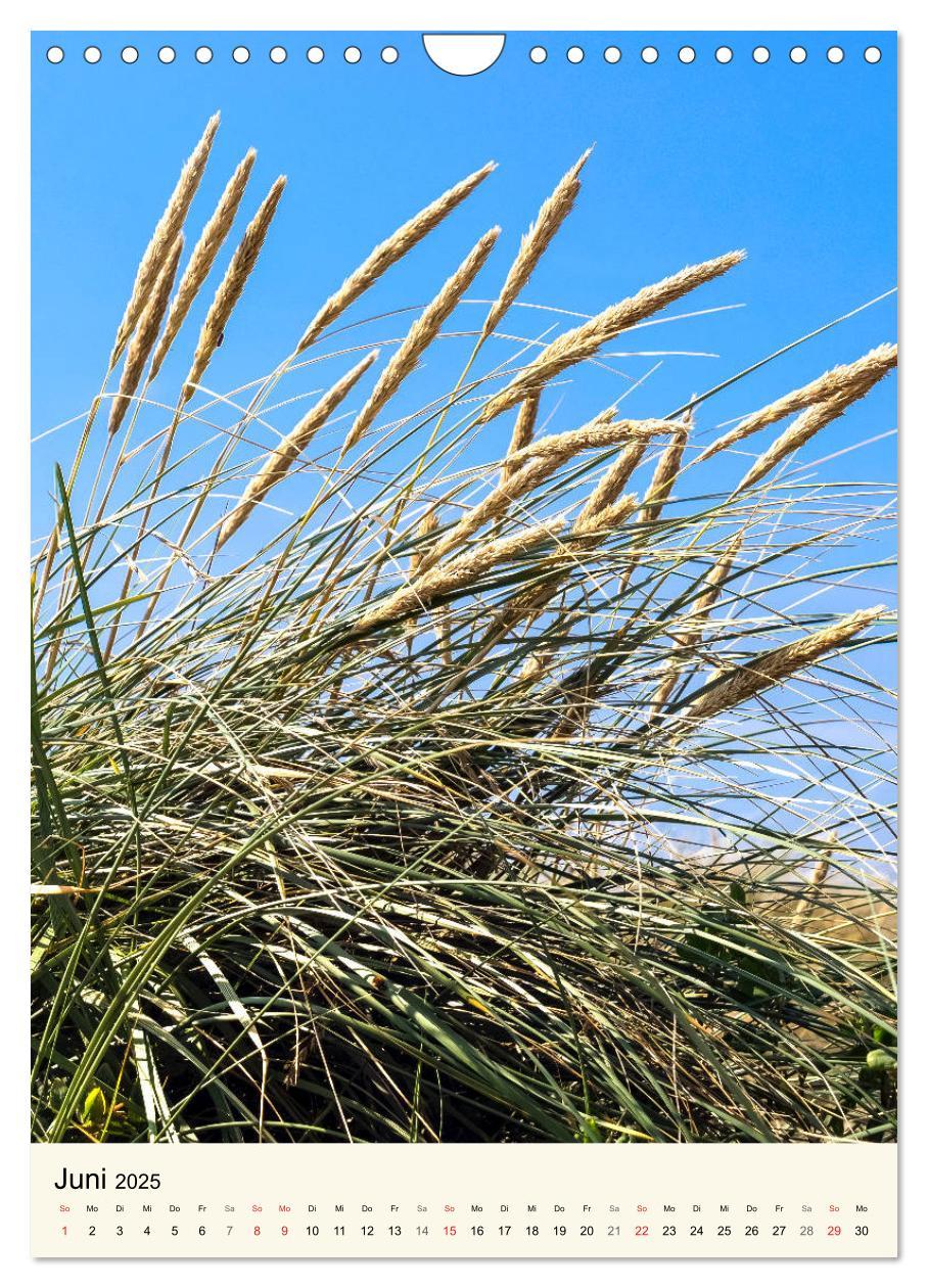 Bild: 9783435969586 | LANGEOOG Strandspaziergang (Wandkalender 2025 DIN A4 hoch),...