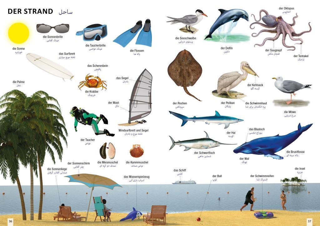 Bild: 9783898947176 | Bildwörterbuch für Kinder und Eltern Persisch-Deutsch | Igor Jourist