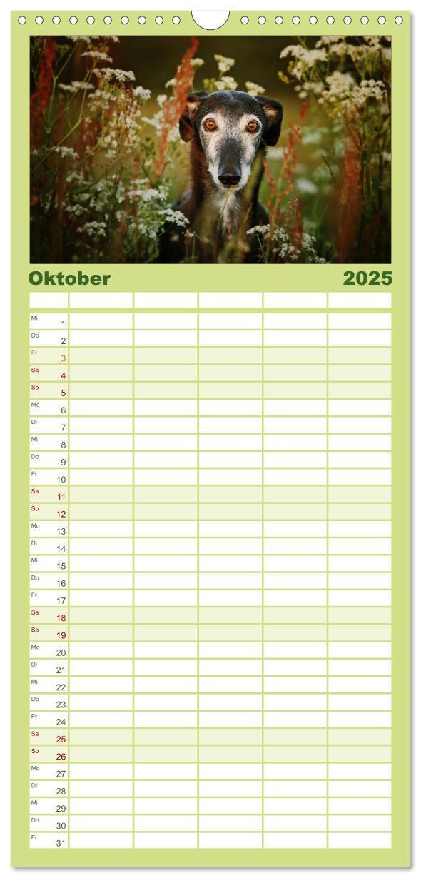 Bild: 9783457112526 | Familienplaner 2025 - Der Windhundekalender mit 5 Spalten...