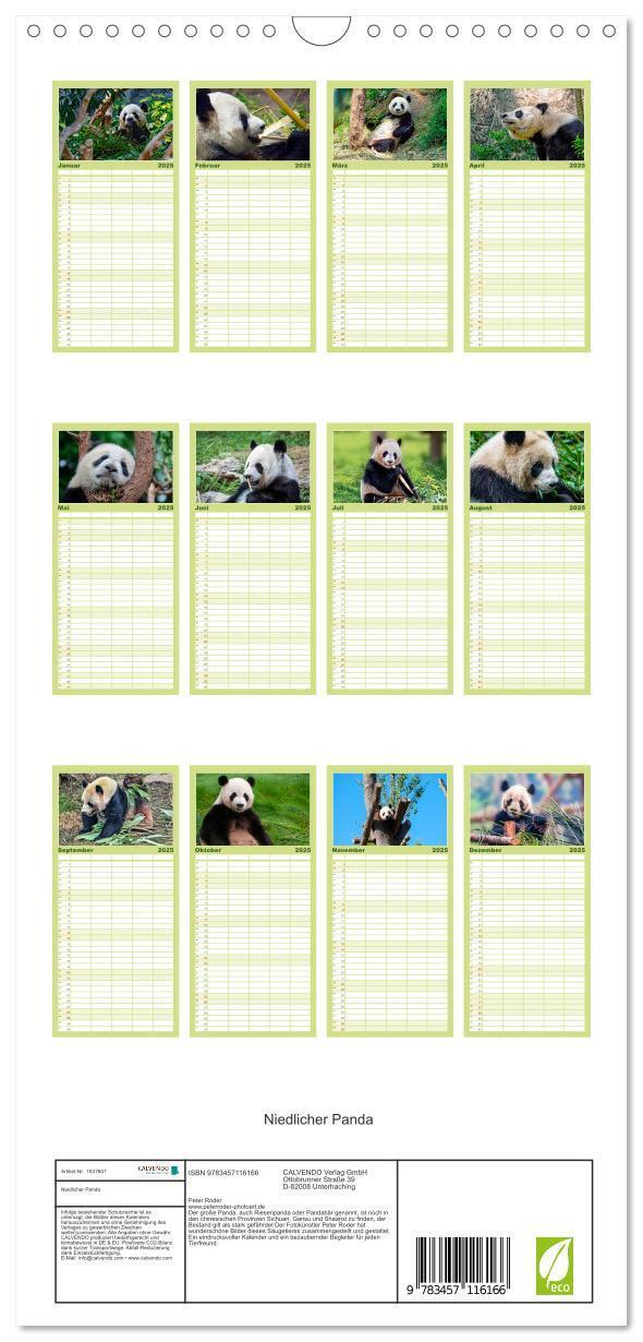 Bild: 9783457116166 | Familienplaner 2025 - Niedlicher Panda mit 5 Spalten (Wandkalender,...