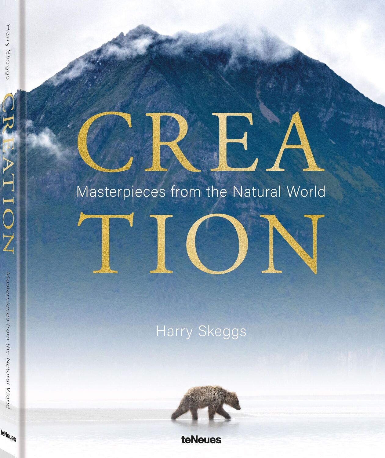 Cover: 9783961715558 | Creation | Masterpieces from the Natural World | Harry Skeggs | Buch