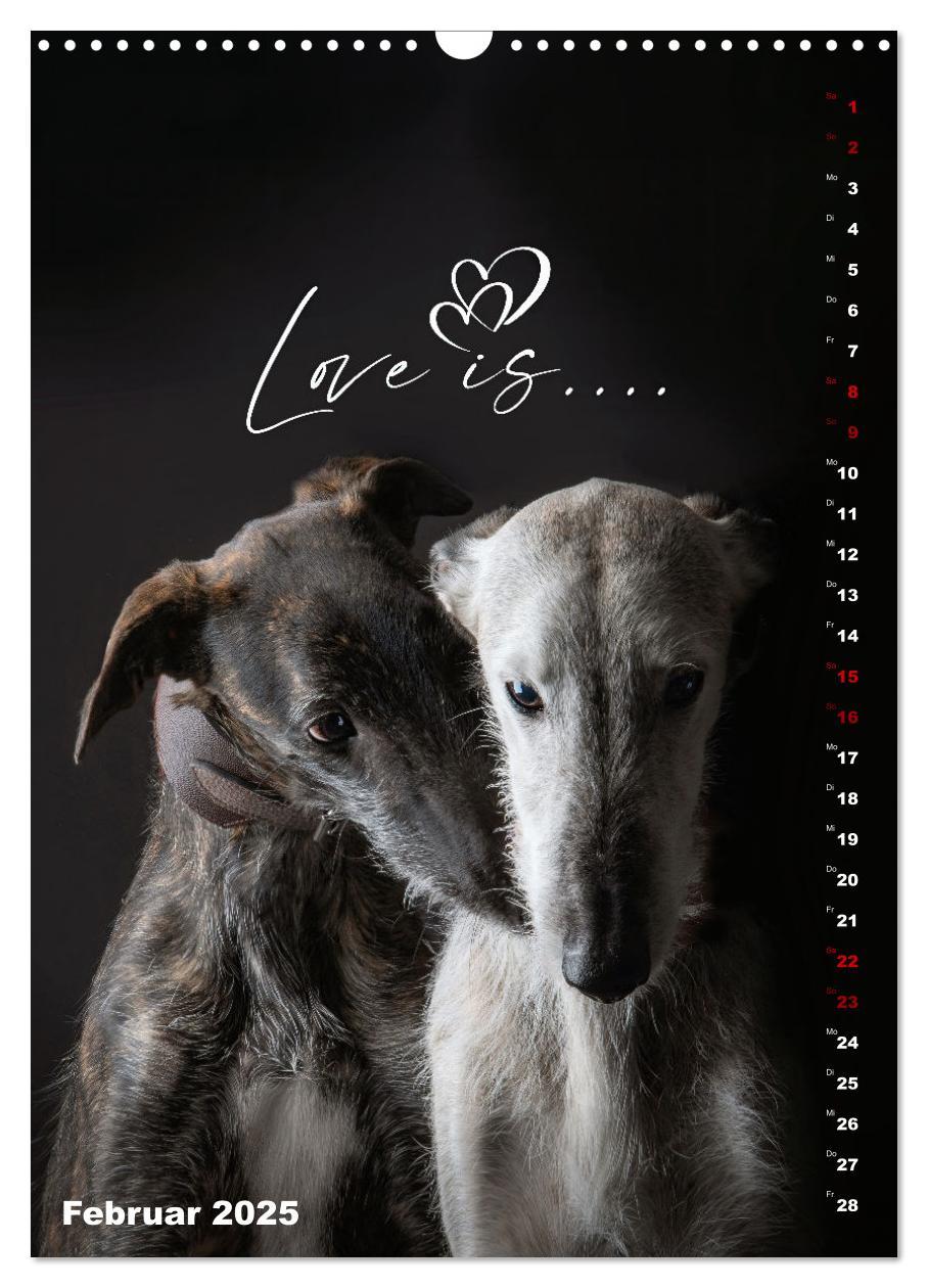 Bild: 9783457230824 | dogmuse deluxe (Wandkalender 2025 DIN A3 hoch), CALVENDO...