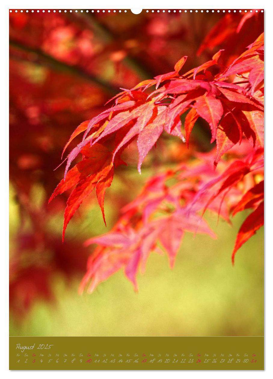 Bild: 9783457061602 | Natur Träume (Wandkalender 2025 DIN A2 hoch), CALVENDO Monatskalender