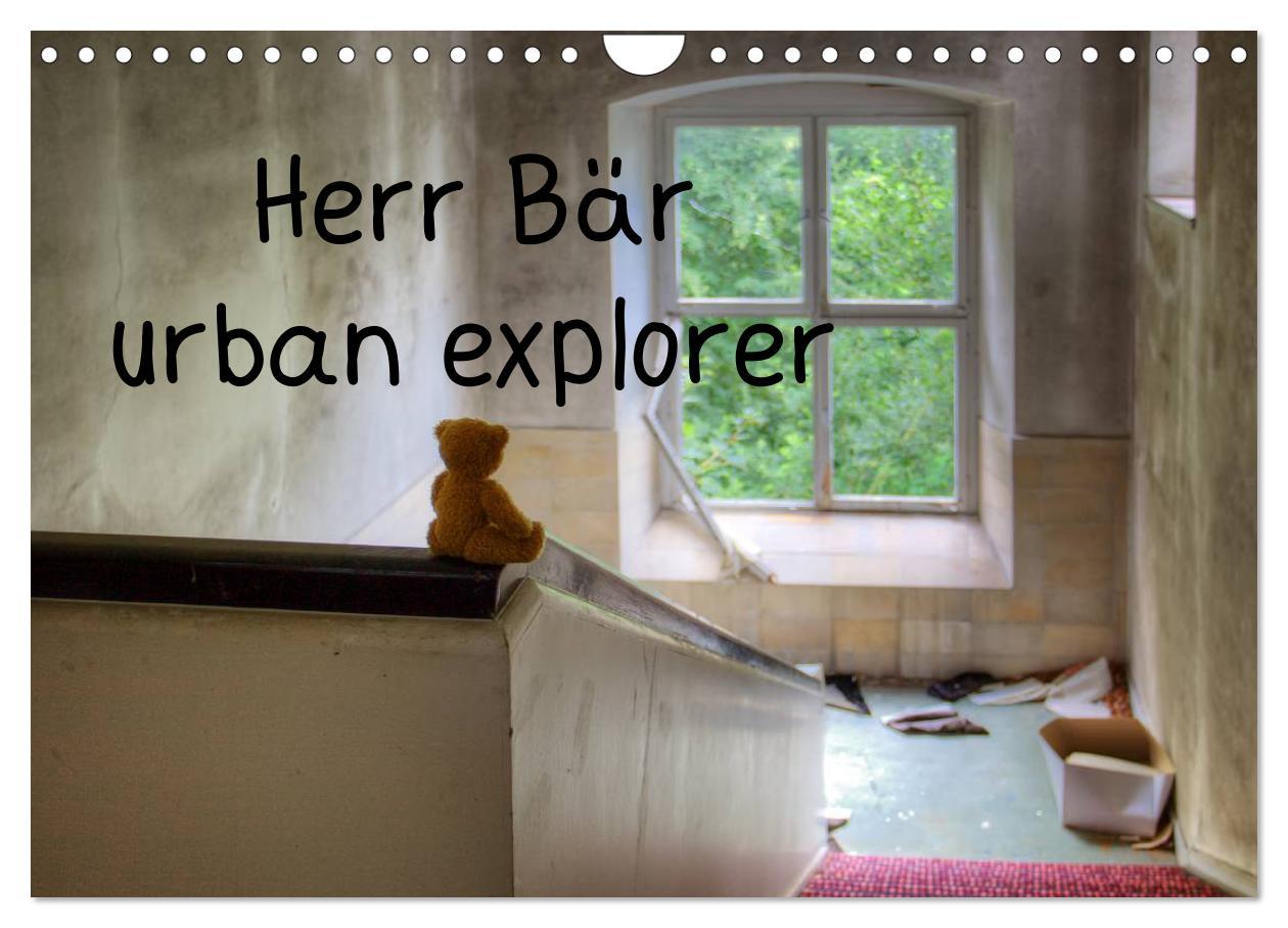 Cover: 9783435460403 | Herr Bär urban explorer (Wandkalender 2025 DIN A4 quer), CALVENDO...