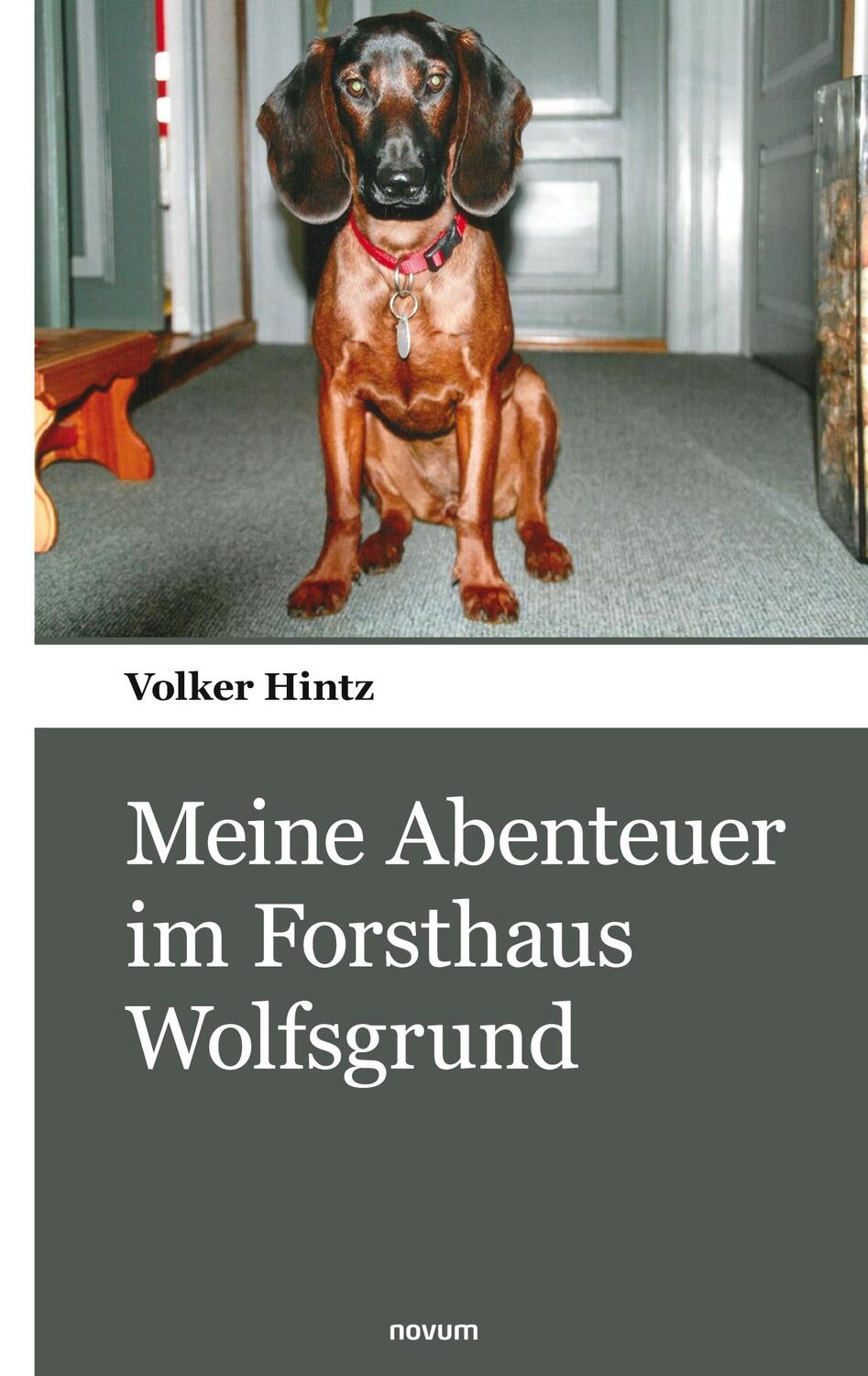 Cover: 9783903468146 | Meine Abenteuer im Forsthaus Wolfsgrund | Volker Hintz | Taschenbuch