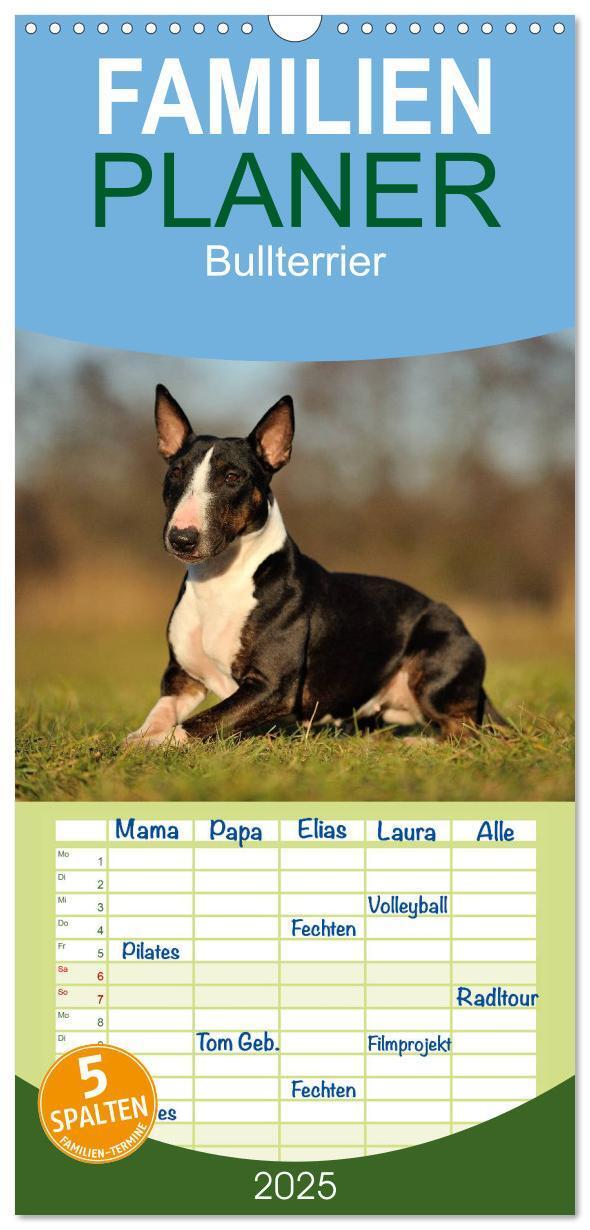 Cover: 9783457111611 | Familienplaner 2025 - Bullterrier 2025 - Kleine Clowns mit großem...