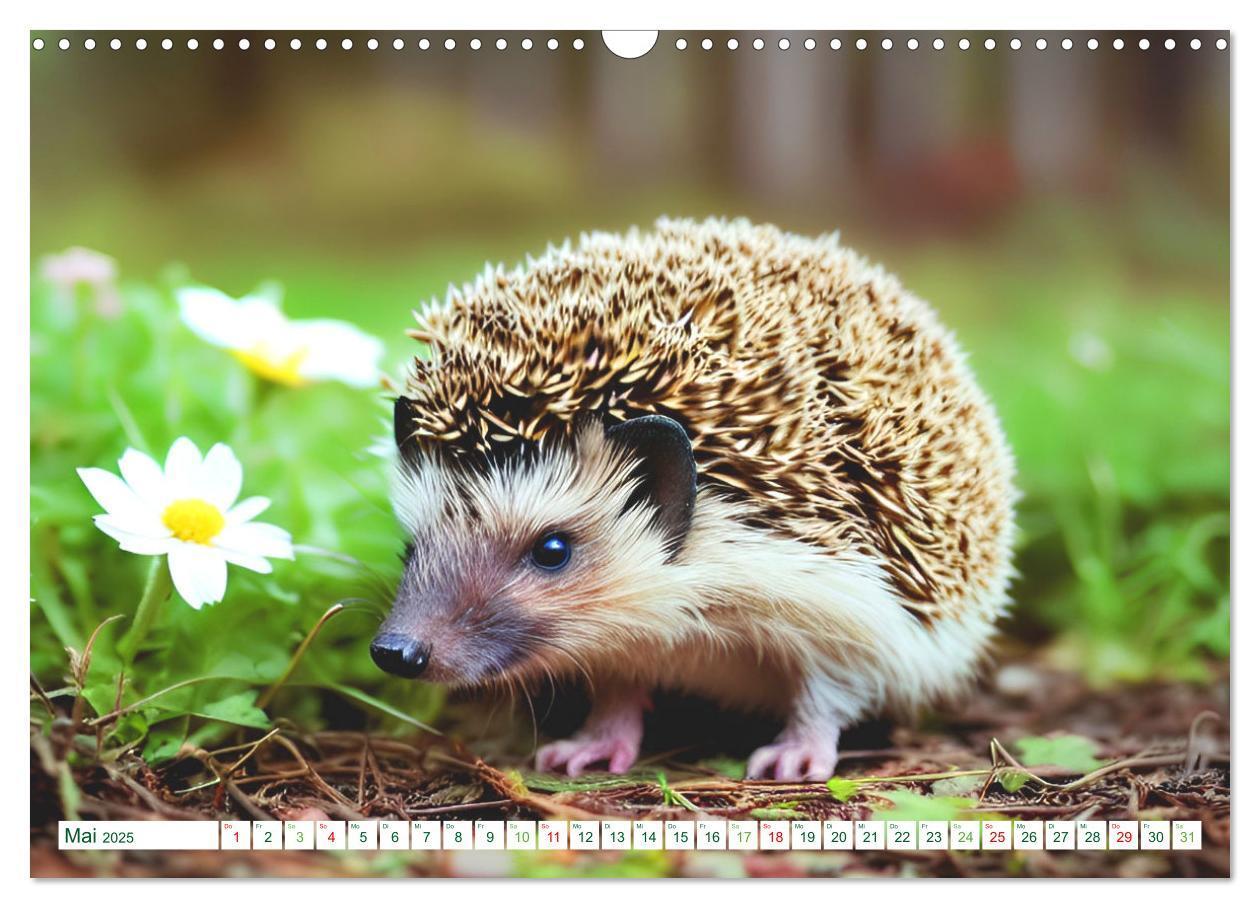 Bild: 9783383868726 | Niedliche Igel (Wandkalender 2025 DIN A3 quer), CALVENDO...