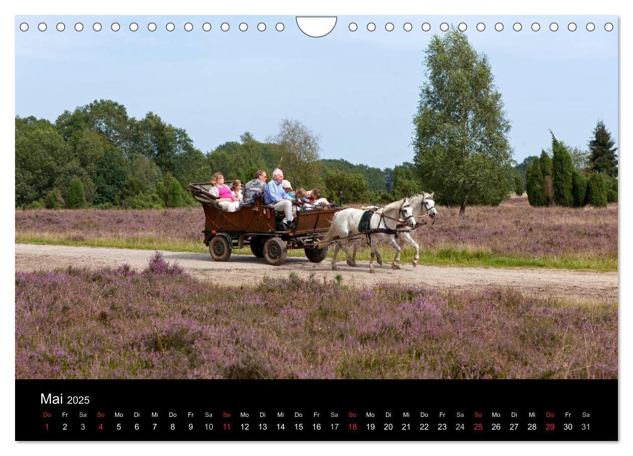 Bild: 9783435791743 | Hansestadt Lüneburg und Lüneburger Heide (Wandkalender 2025 DIN A4...