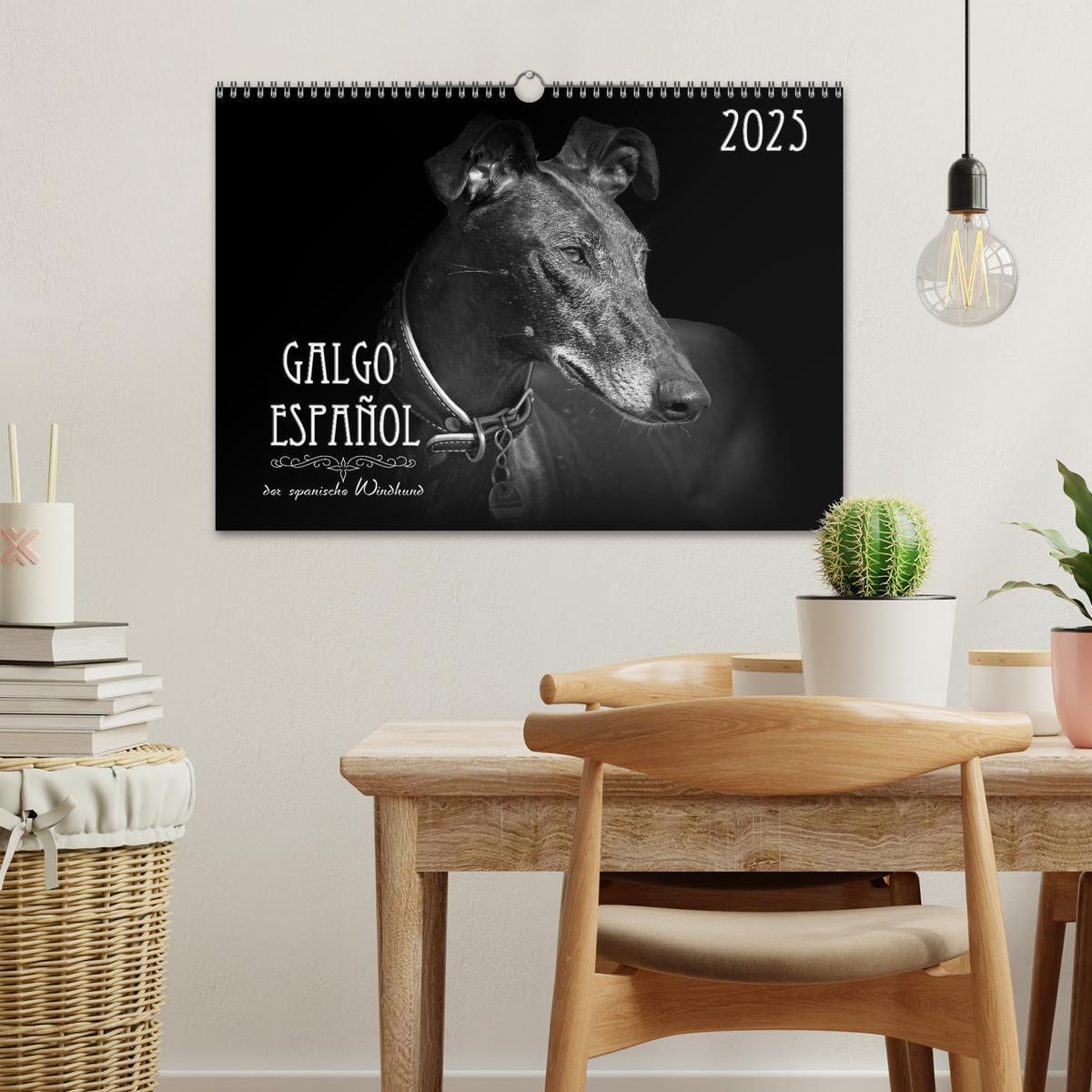 Bild: 9783383824050 | Galgo Español - der spanische Windhund 2025 (Wandkalender 2025 DIN...