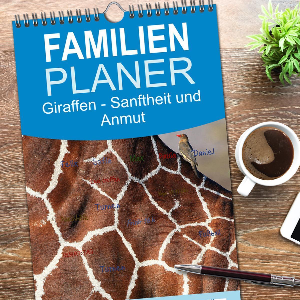 Bild: 9783457121702 | Familienplaner 2025 - Giraffen - Sanftheit und Anmut mit 5 Spalten...