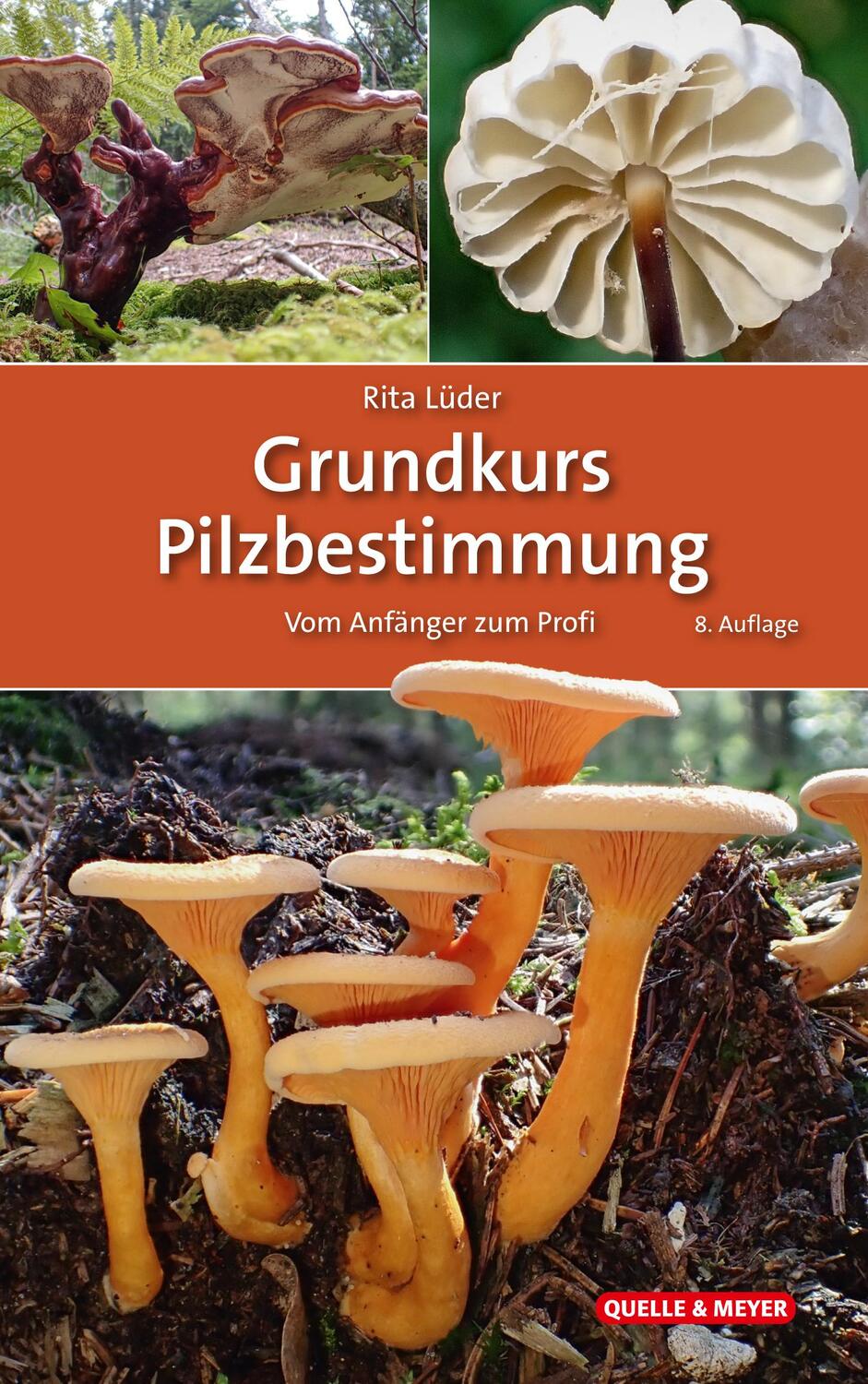 Cover: 9783494019970 | Grundkurs Pilzbestimmung | Vom Anfänger zum Profi | Rita Lüder | Buch