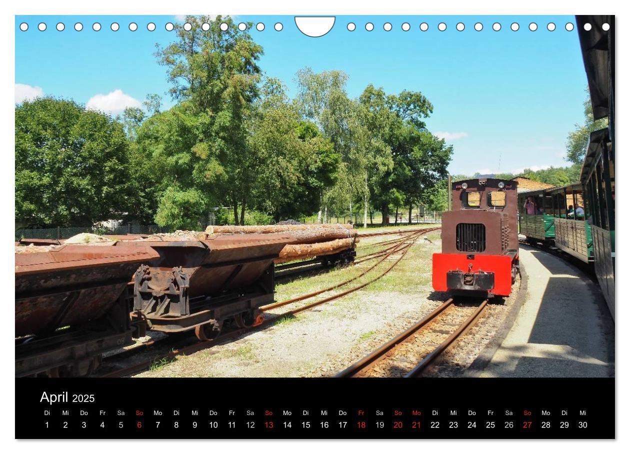 Bild: 9783435572823 | Waldeisenbahn Bad Muskau (Wandkalender 2025 DIN A4 quer), CALVENDO...