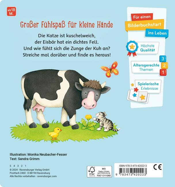 Bild: 9783473420223 | Mein großes Fühlbuch | Sandra Grimm | Taschenbuch | 12 S. | Deutsch