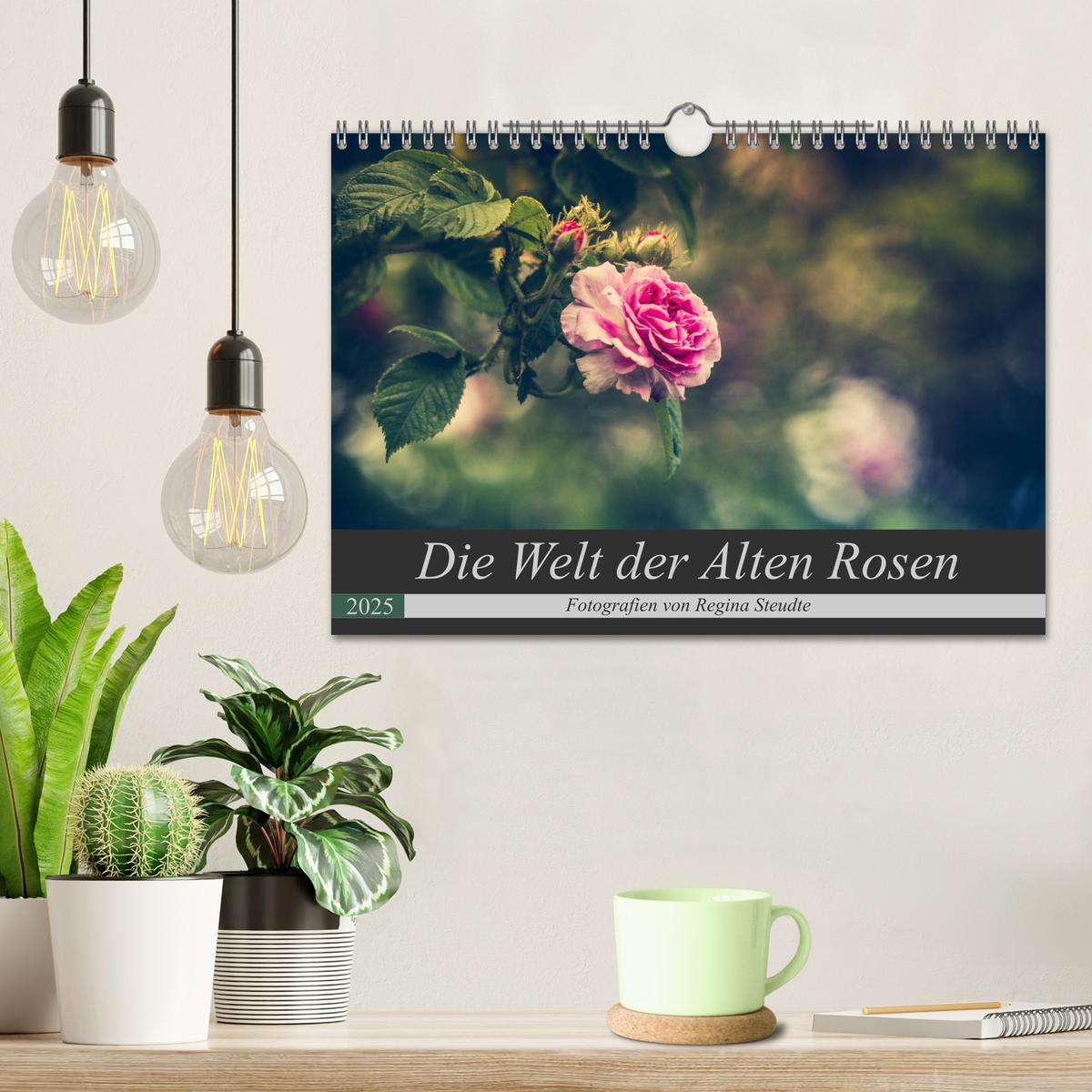 Bild: 9783435391325 | Die Welt der Alten Rosen (Wandkalender 2025 DIN A4 quer), CALVENDO...