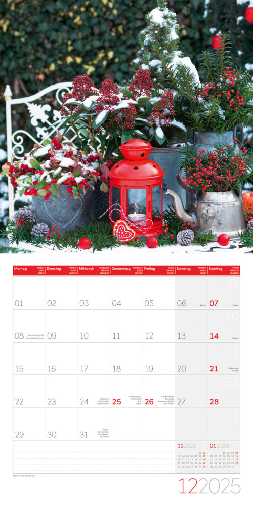 Bild: 9783838445304 | In meinem Garten Kalender 2025 - 30x30 | Ackermann Kunstverlag | 28 S.