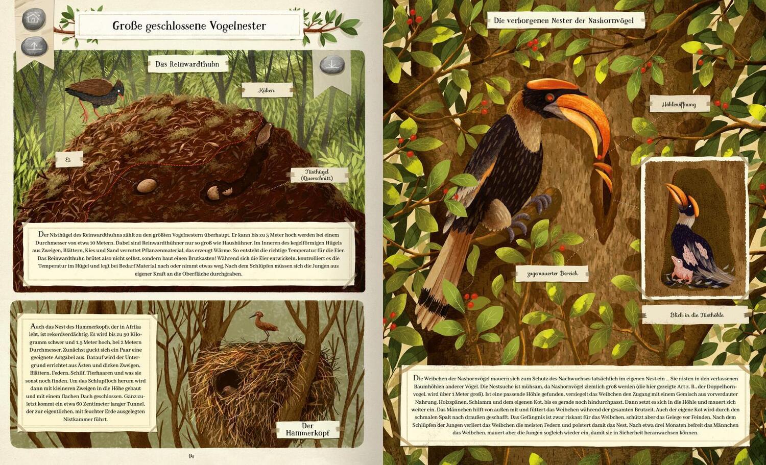 Bild: 9783845859217 | Tierisch gut gebaut - Von Nestern, Höhlen und anderen Tierwohnungen