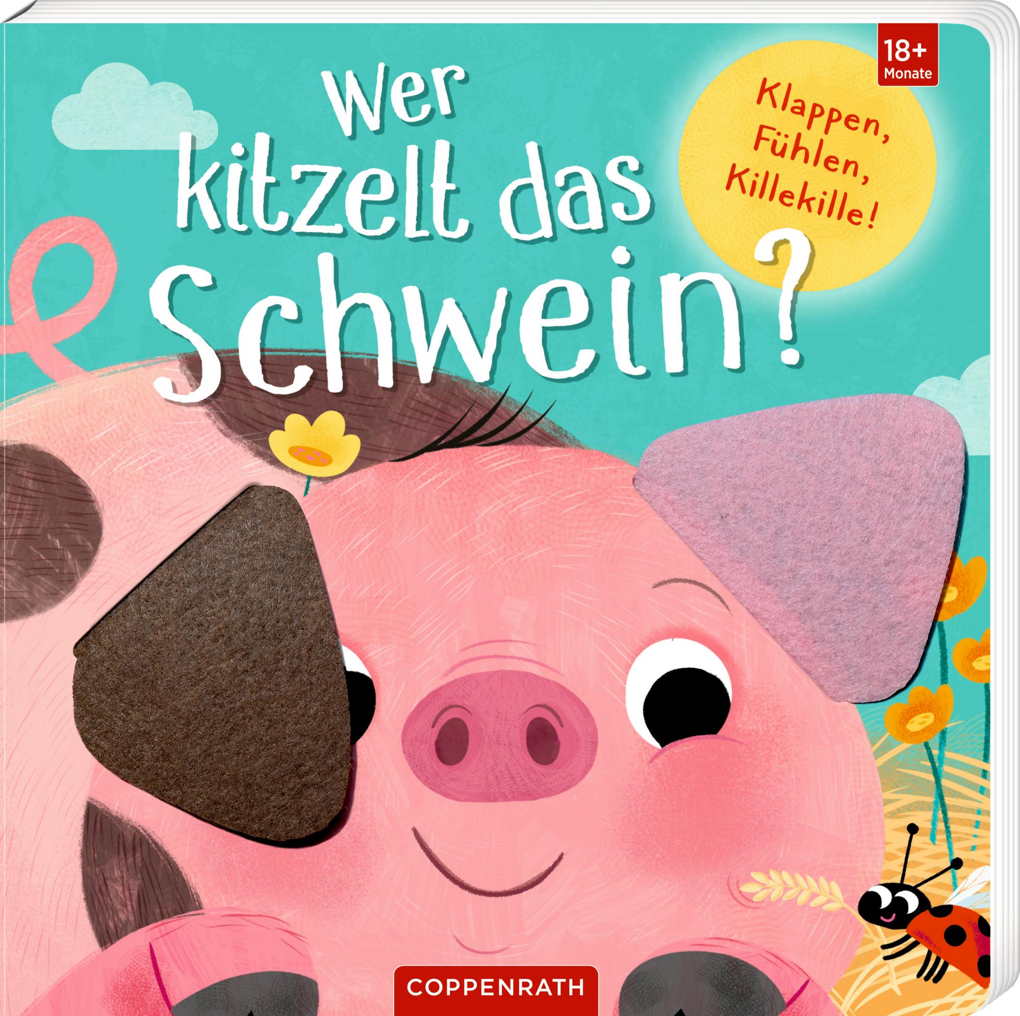 Cover: 9783649648765 | Wer kitzelt das Schwein? | Klappen, Fühlen, Killekille! | Detner