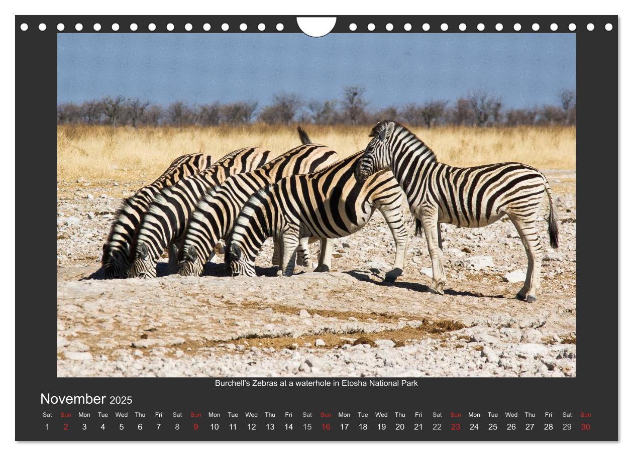 Bild: 9781325964369 | Namibia's Nature (Wall Calendar 2025 DIN A4 landscape), CALVENDO 12...