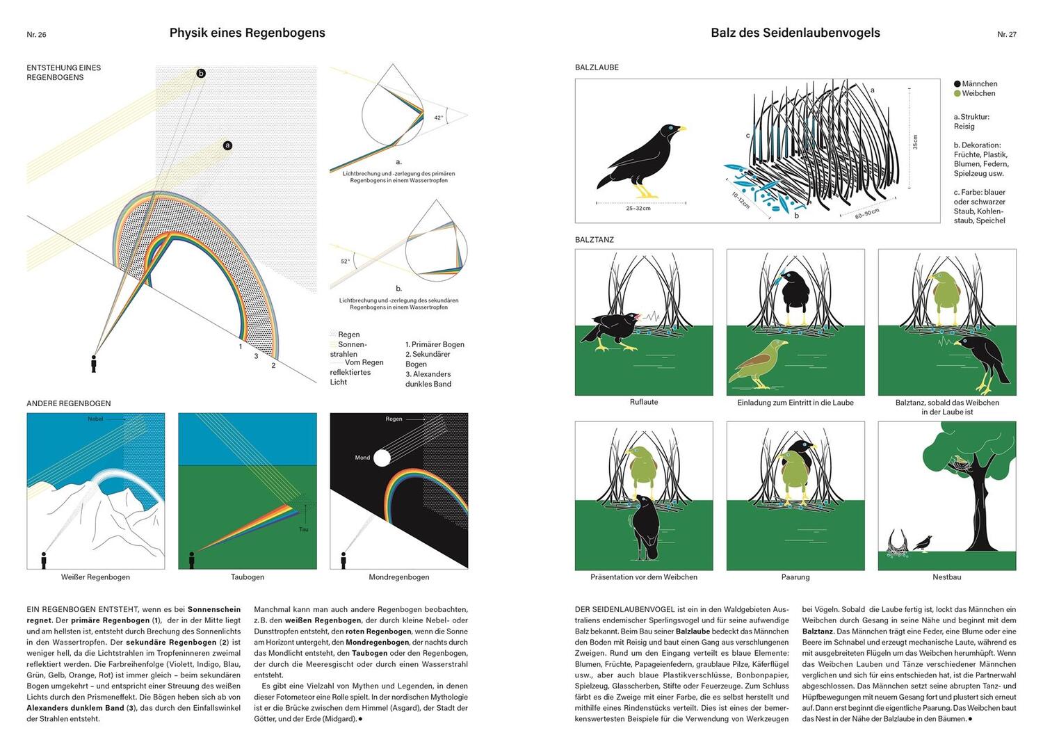 Bild: 9783831049837 | Phänomene unserer Welt | Camille Juzeau | Buch | 144 S. | Deutsch