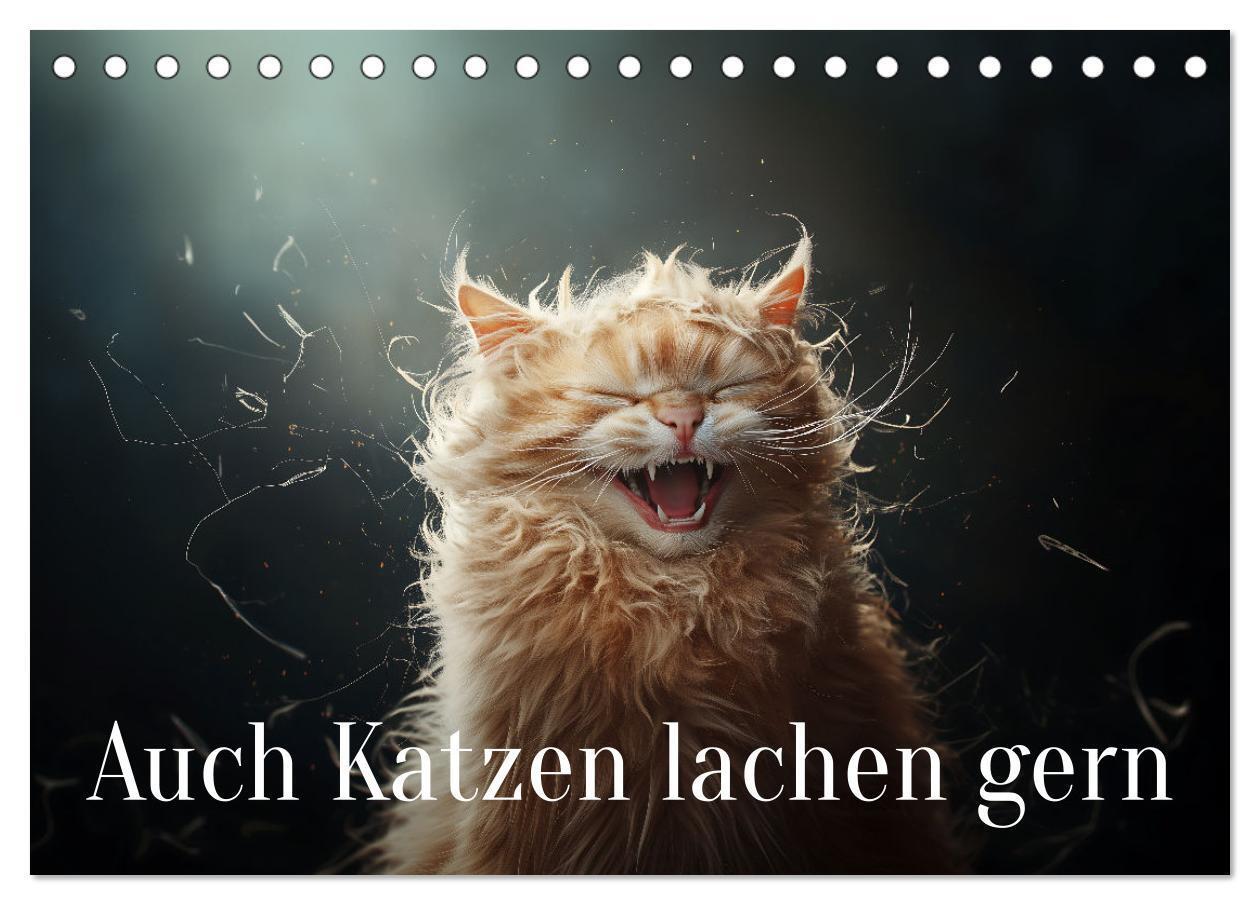 Cover: 9783457202074 | Auch Katzen lachen gern (Tischkalender 2025 DIN A5 quer), CALVENDO...