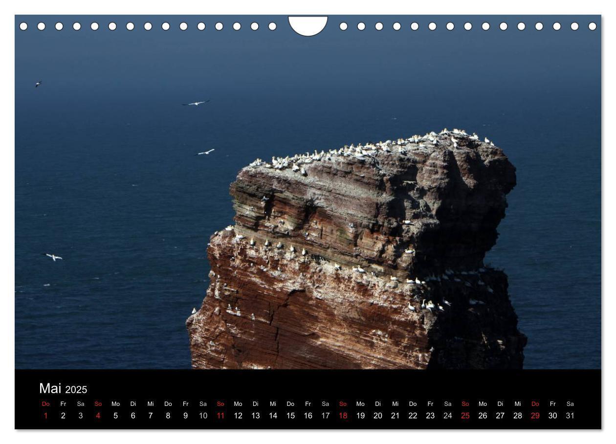 Bild: 9783435769063 | Helgoland (Wandkalender 2025 DIN A4 quer), CALVENDO Monatskalender