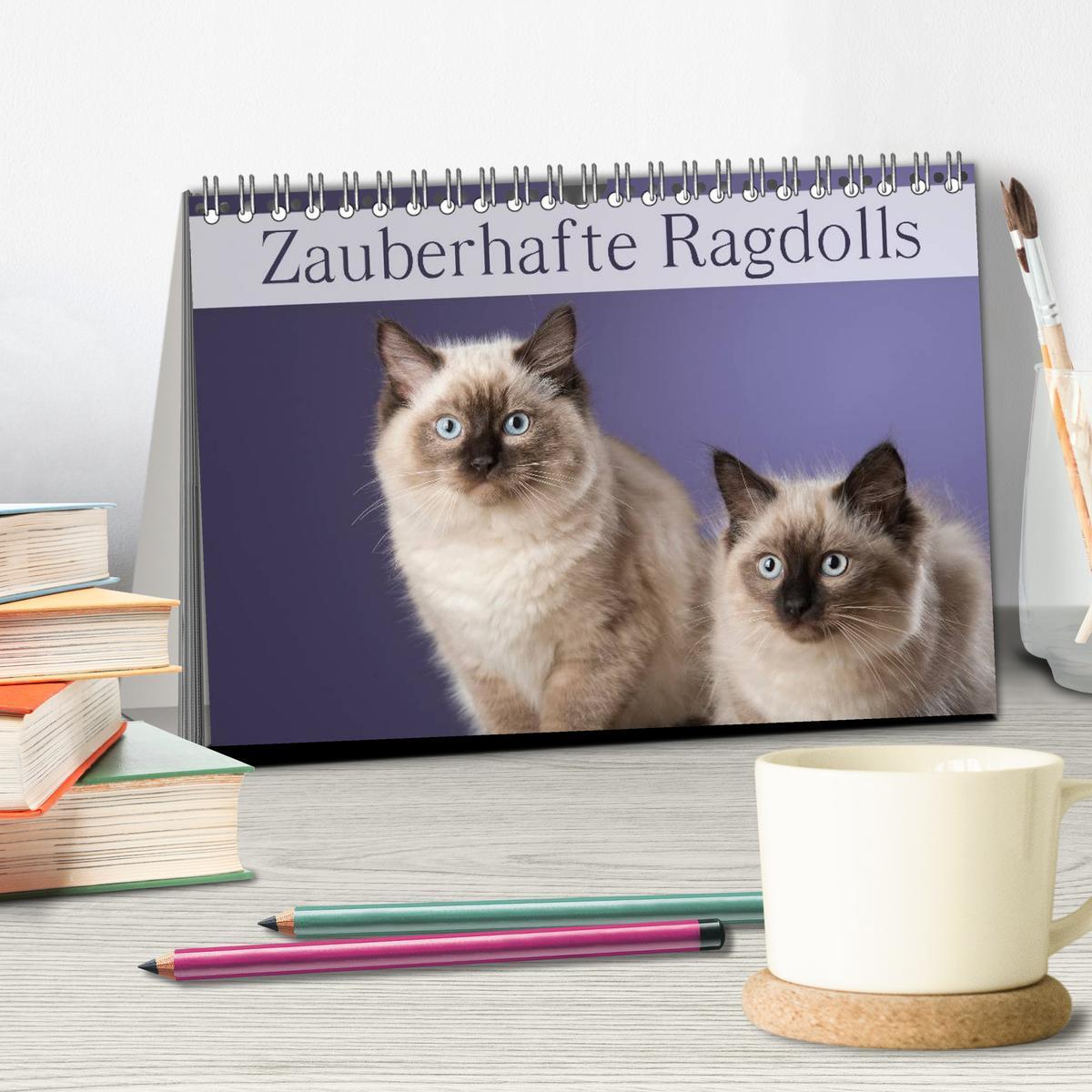 Bild: 9783435723751 | Zauberhafte Ragdolls / Geburtstagskalender (Tischkalender 2025 DIN...