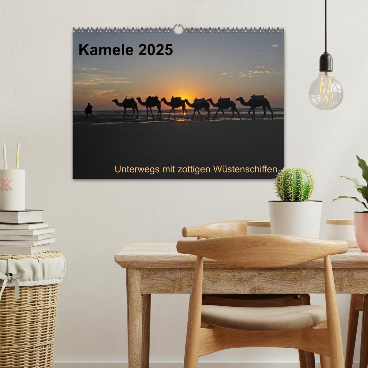 Bild: 9783435709588 | Kamele 2025 - Unterwegs mit zottigen Wüstenschiffen (Wandkalender...