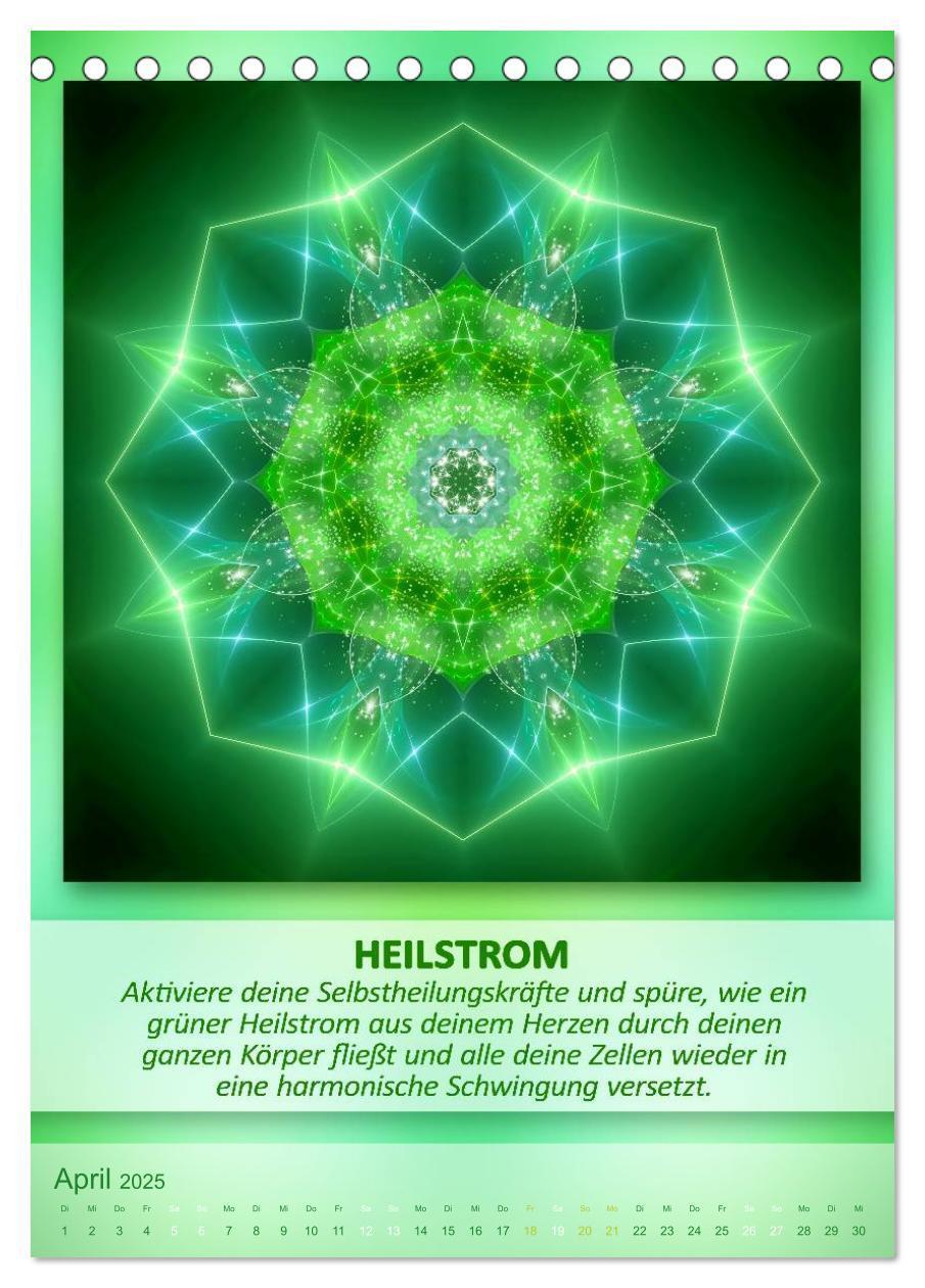 Bild: 9783457079515 | Light Energy Mandalas - Kalender - Vol. 1 (Tischkalender 2025 DIN...