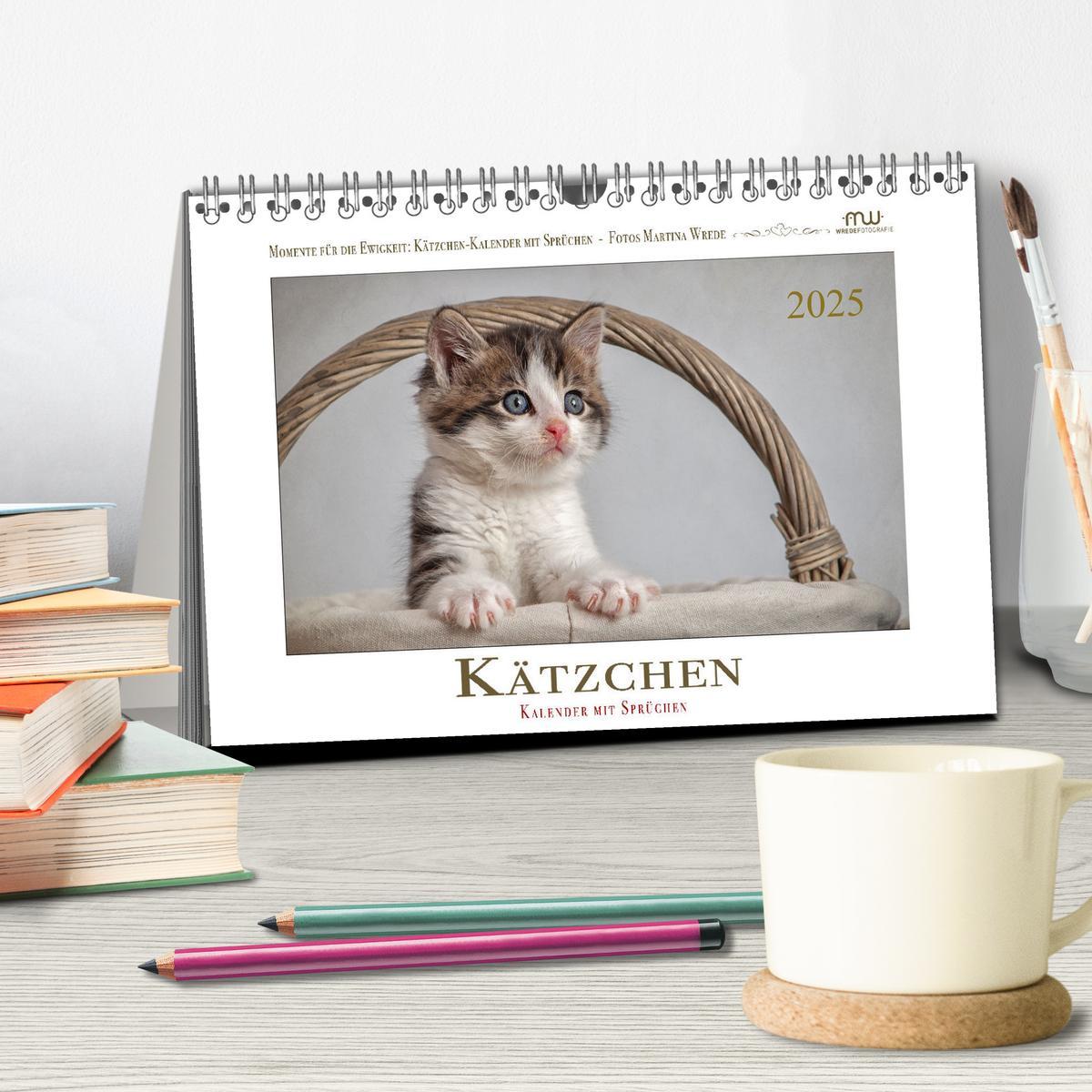 Bild: 9783435085538 | Kätzchen-Kalender mit Sprüchen (Tischkalender 2025 DIN A5 quer),...