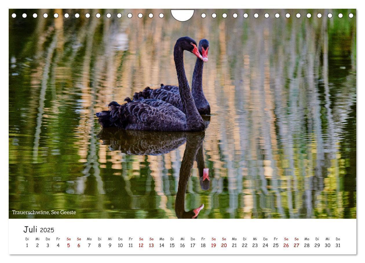 Bild: 9783457228074 | Emsland Impressionen (Wandkalender 2025 DIN A4 quer), CALVENDO...