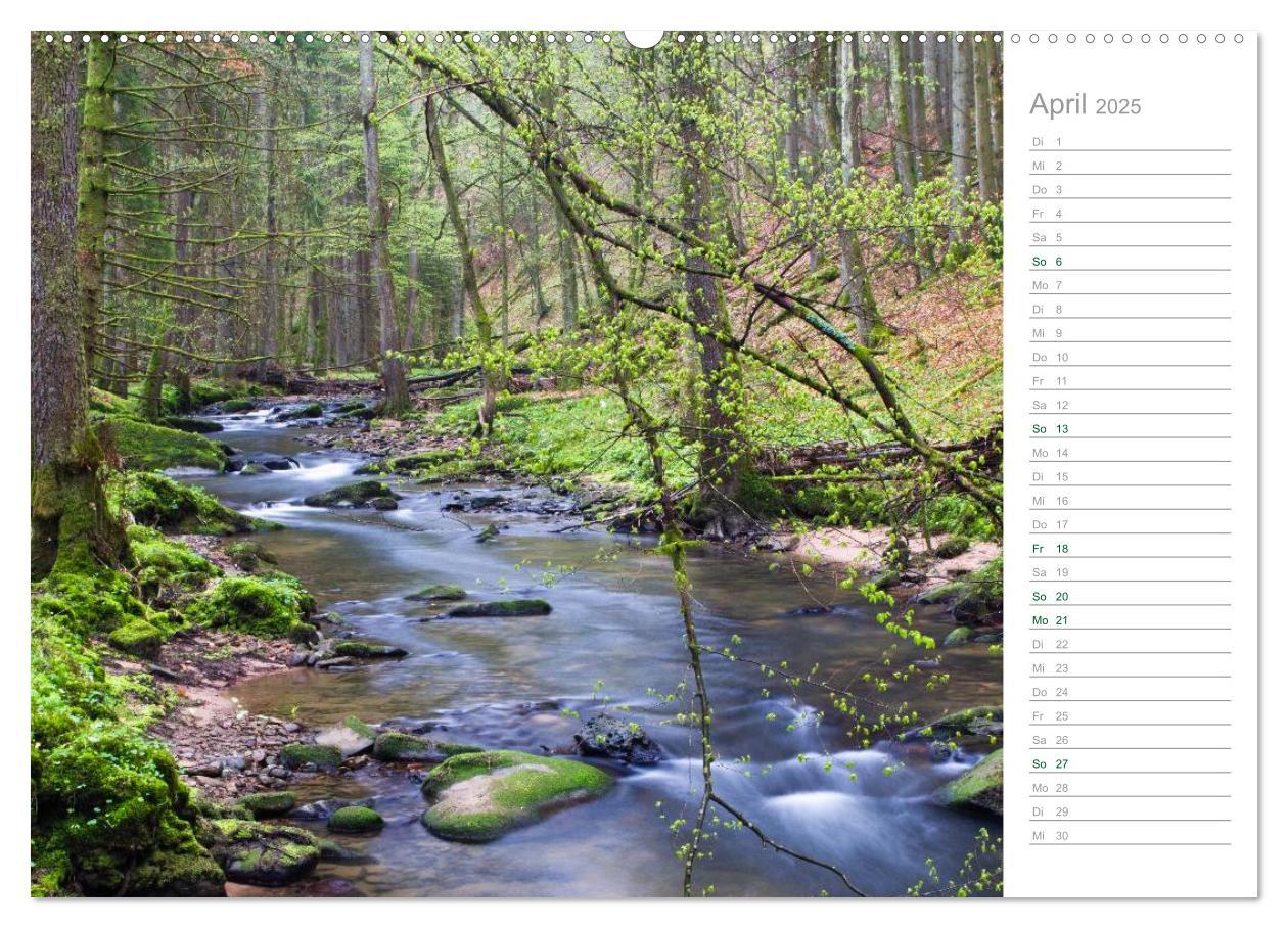 Bild: 9783435541850 | Im Deutschen Wald 2025 - ein Notizkalender (Wandkalender 2025 DIN...