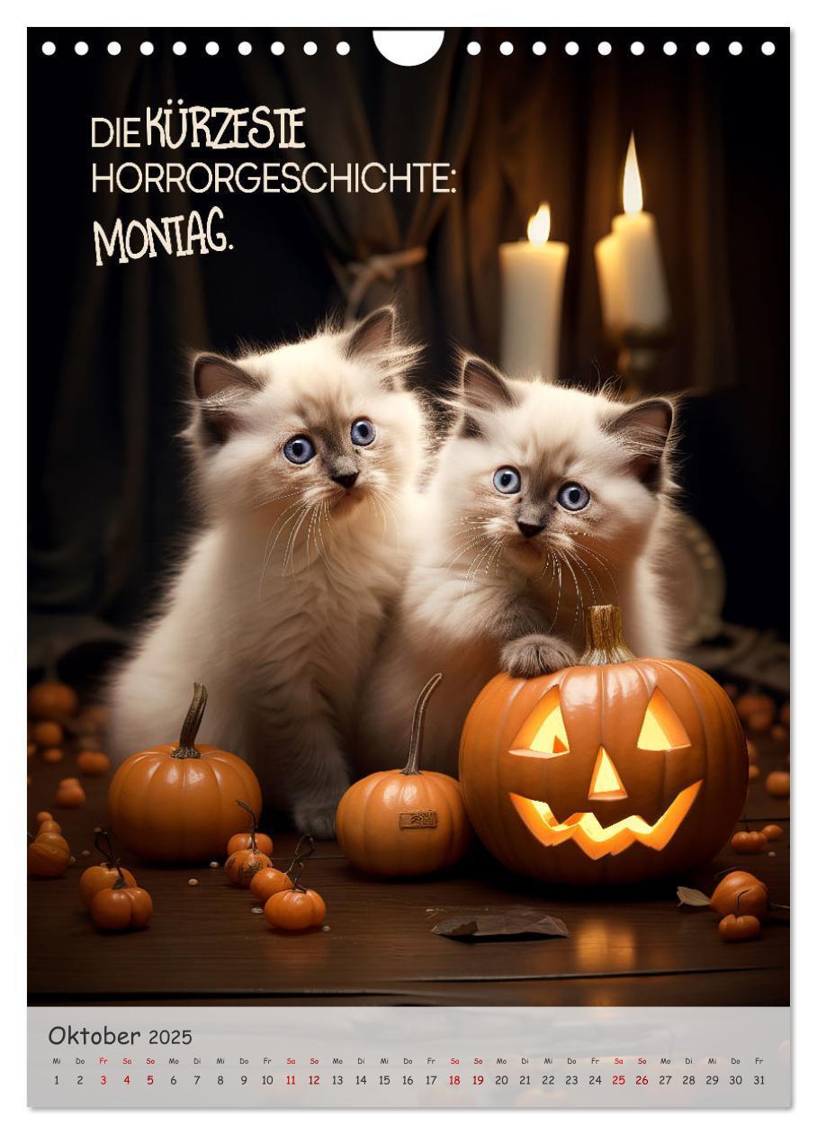 Bild: 9783383771392 | COOLE KATZEN Sprücheklopfer (Wandkalender 2025 DIN A4 hoch),...