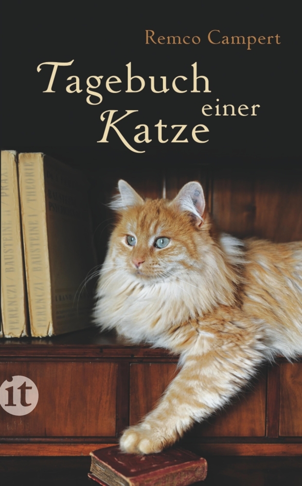 Cover: 9783458359449 | Tagebuch einer Katze | Remco Campert | Taschenbuch | 80 S. | Deutsch