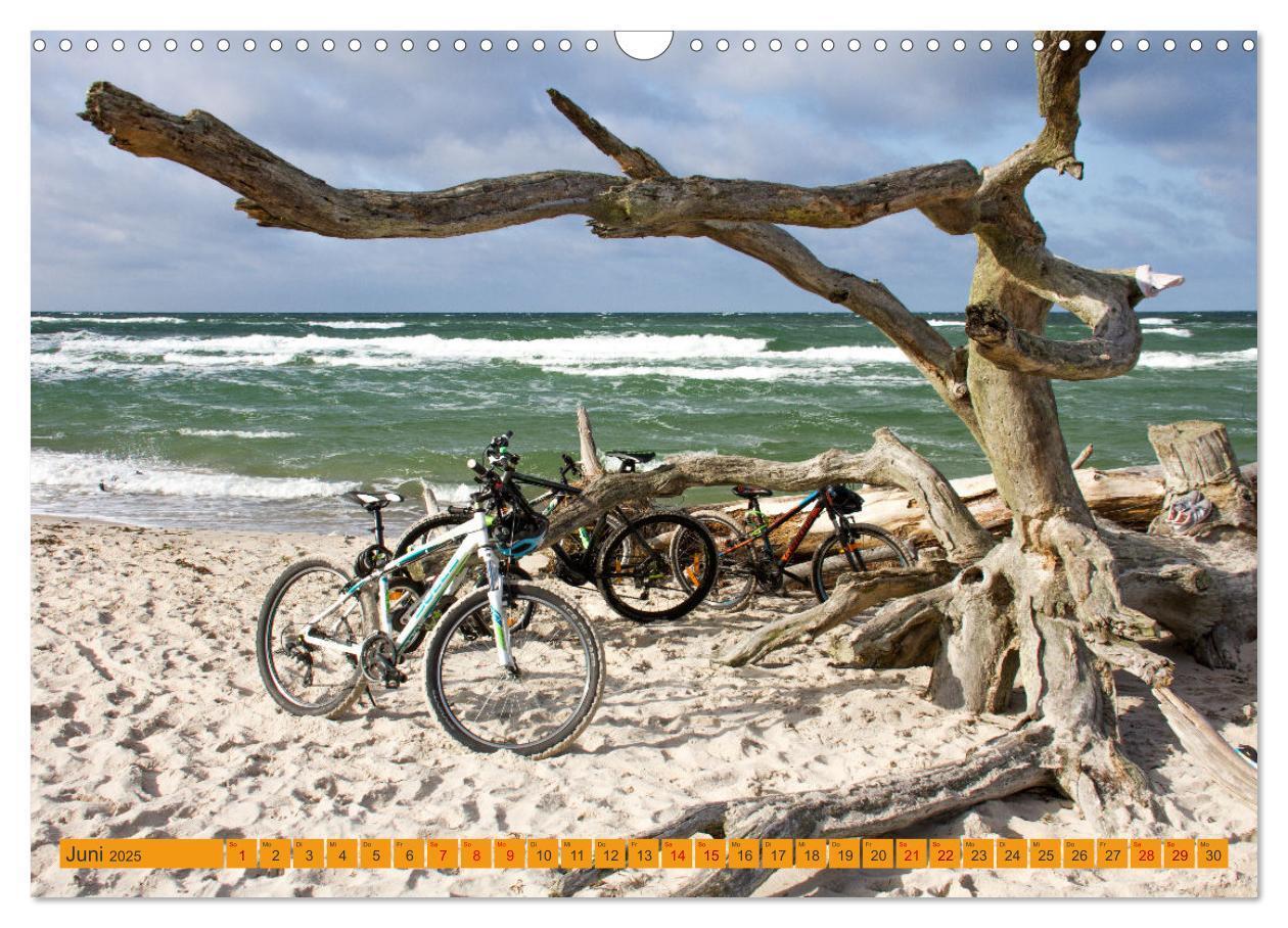 Bild: 9783383782282 | Wilder Darßer Weststrand (Wandkalender 2025 DIN A3 quer), CALVENDO...